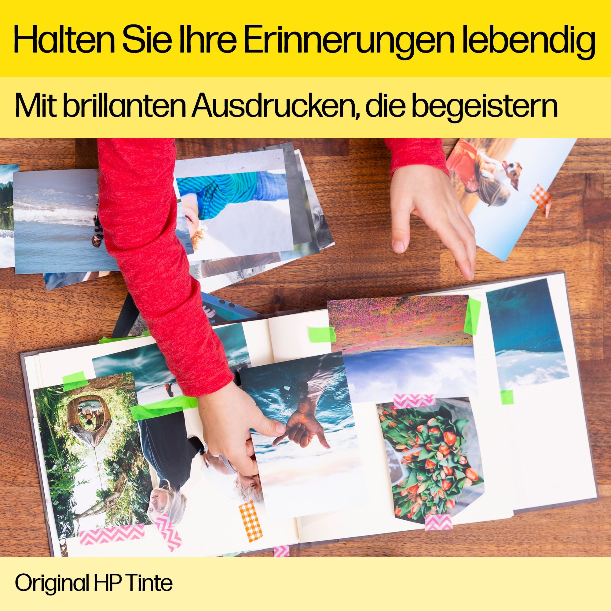 Bild