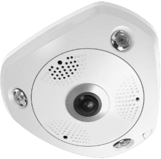 LevelOne IPCam Fisheye   Dome In 12MP/&shy;H.265/&shy;IR/&shy; 12W/&shy;PoE/&shy;IP67