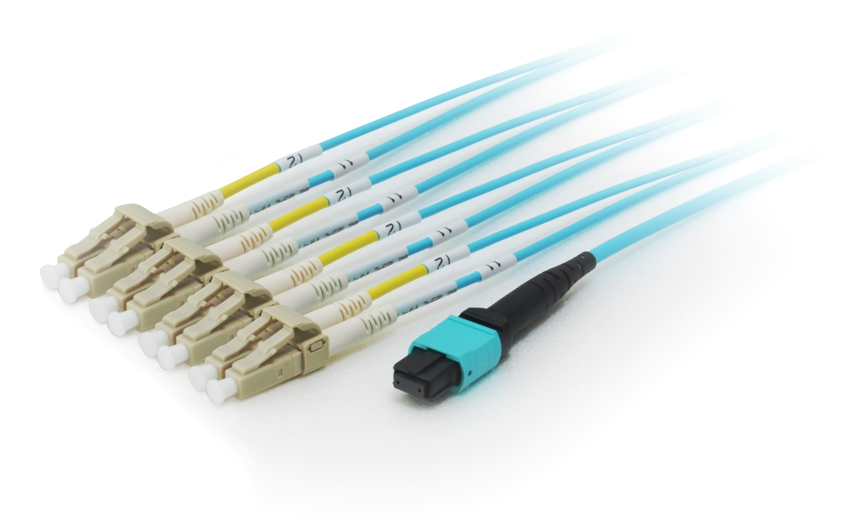 Equip Patchkabel MTP->LC 20.00m 8Faser M/&shy;M OM4 türkis Polybeutel