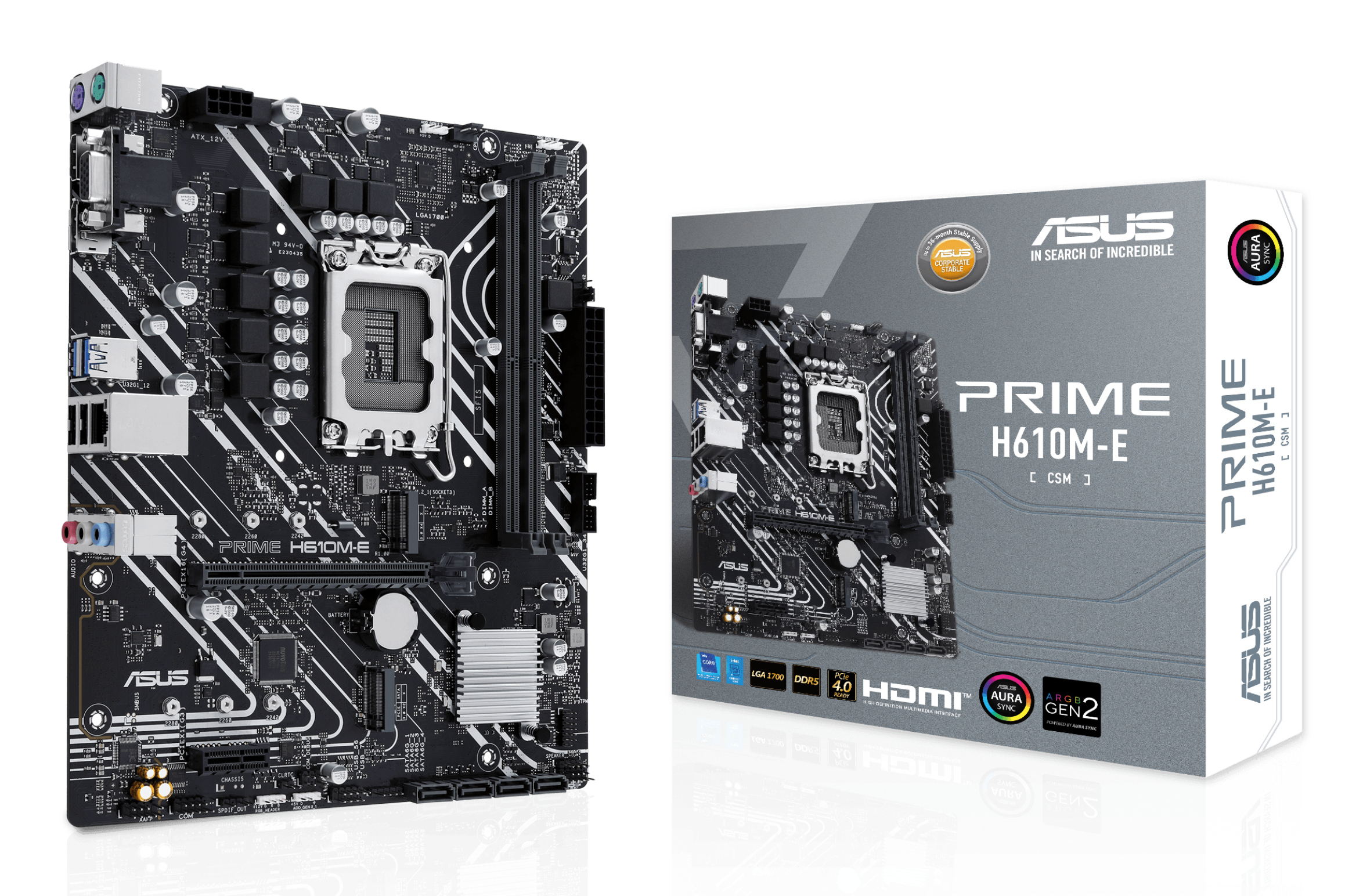 ASUS PRIME H610M-E-CSM (INTEL,1700,DDR5,mATX)