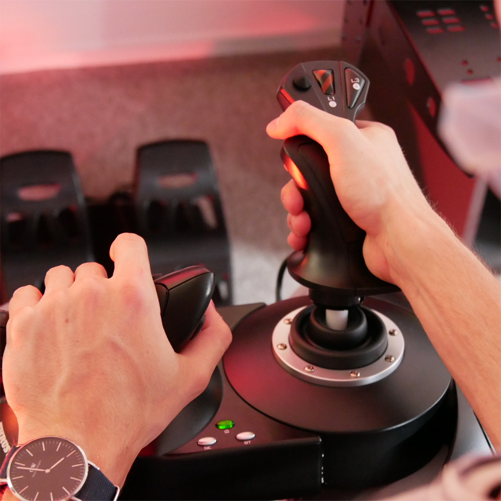 Joystick Thrustm. T.Flight Hotas X                  (PC/PS3) retail Joysticks