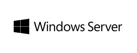 Fujitsu Windows Server 2019 100 User   CAL