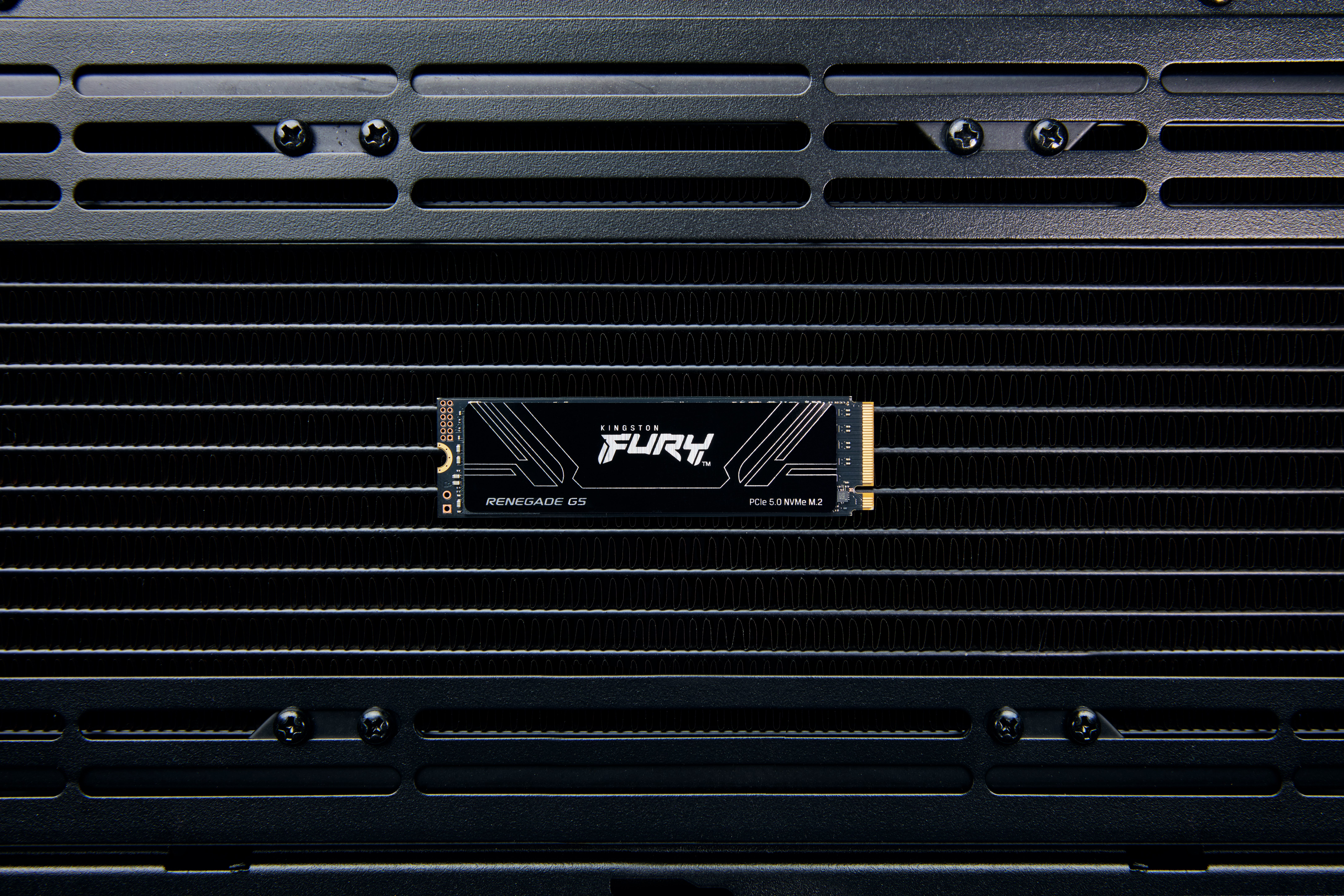 SSD 4TB Kingston M.2 PCI-E NVMe Gen5 FURY Renegade retail