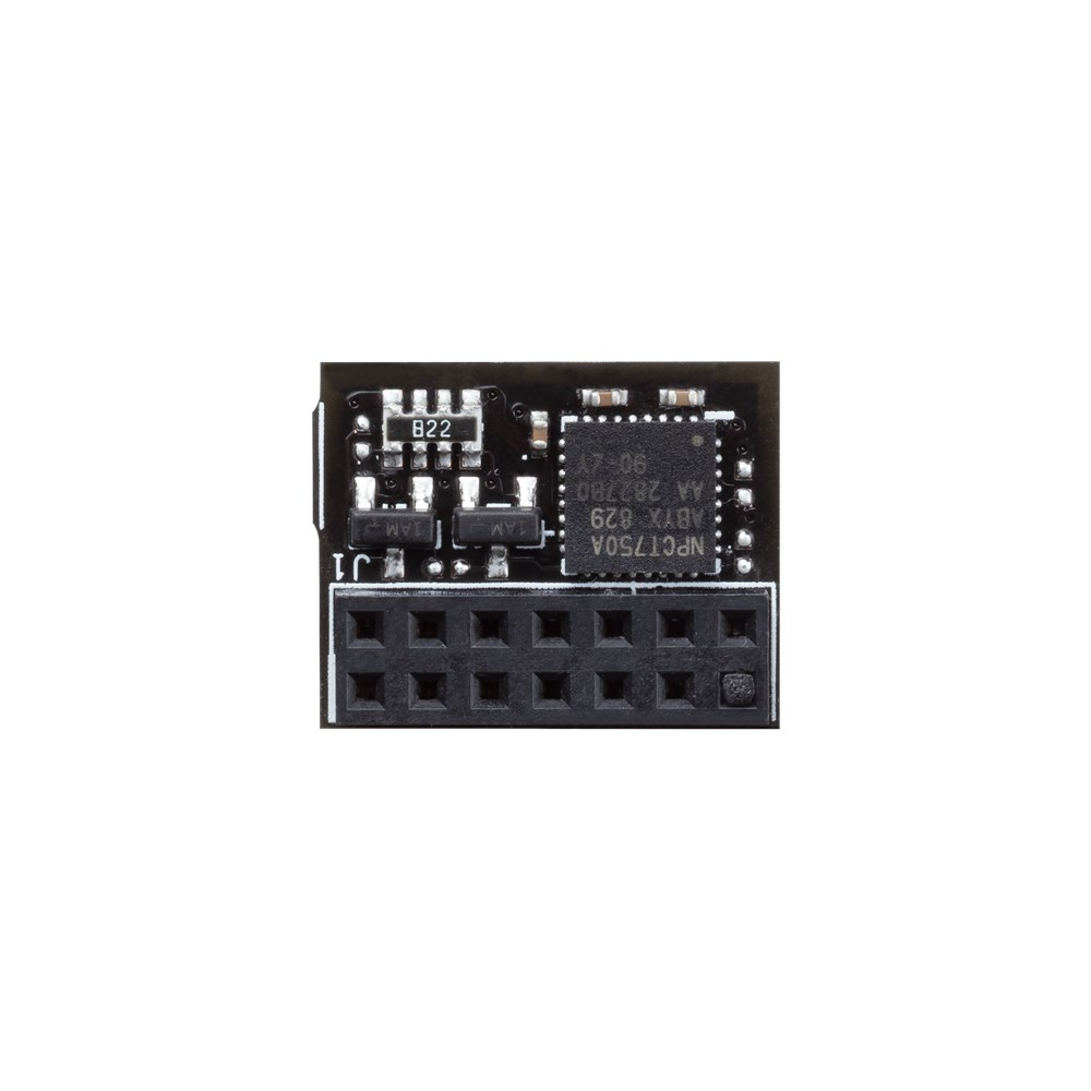 ASUS TPM-SPI bulk