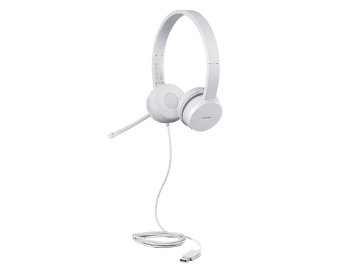 Lenovo 110 Stereo USB Headset (Wolkengrau, On Ear)