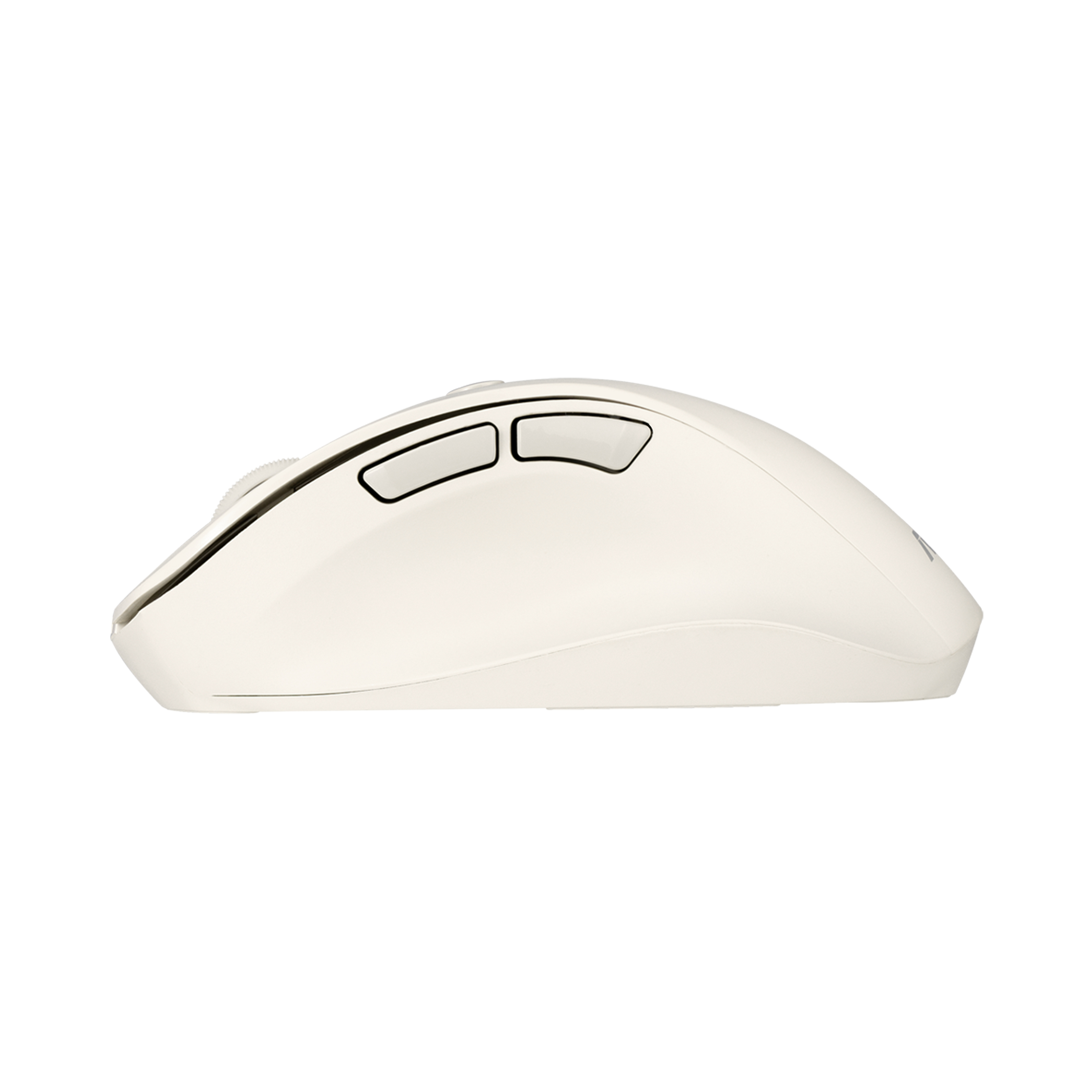 ASUS MD105 Maus wireless 2400dpi Milky White