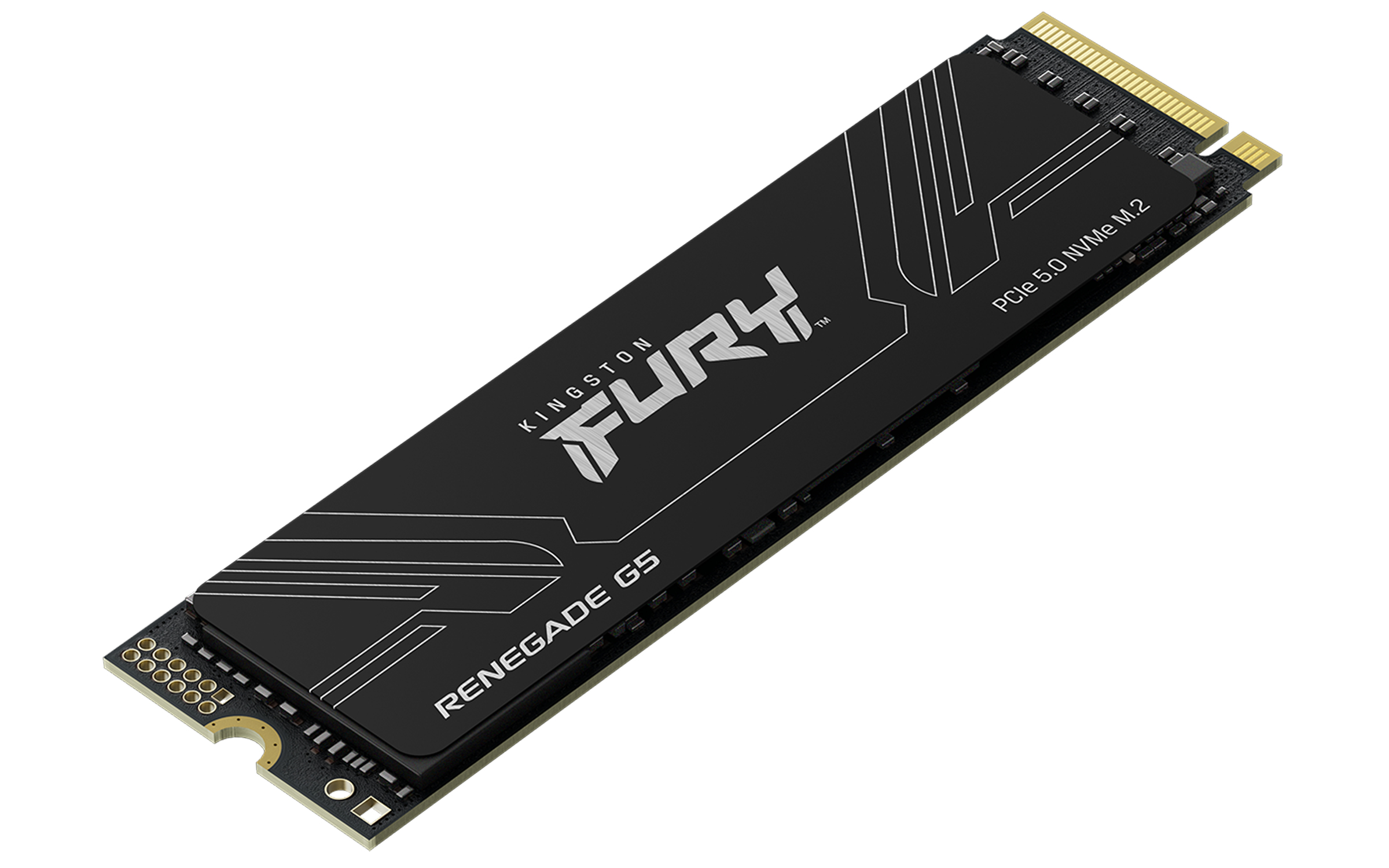 SSD 4TB Kingston M.2 PCI-E NVMe Gen5 FURY Renegade retail