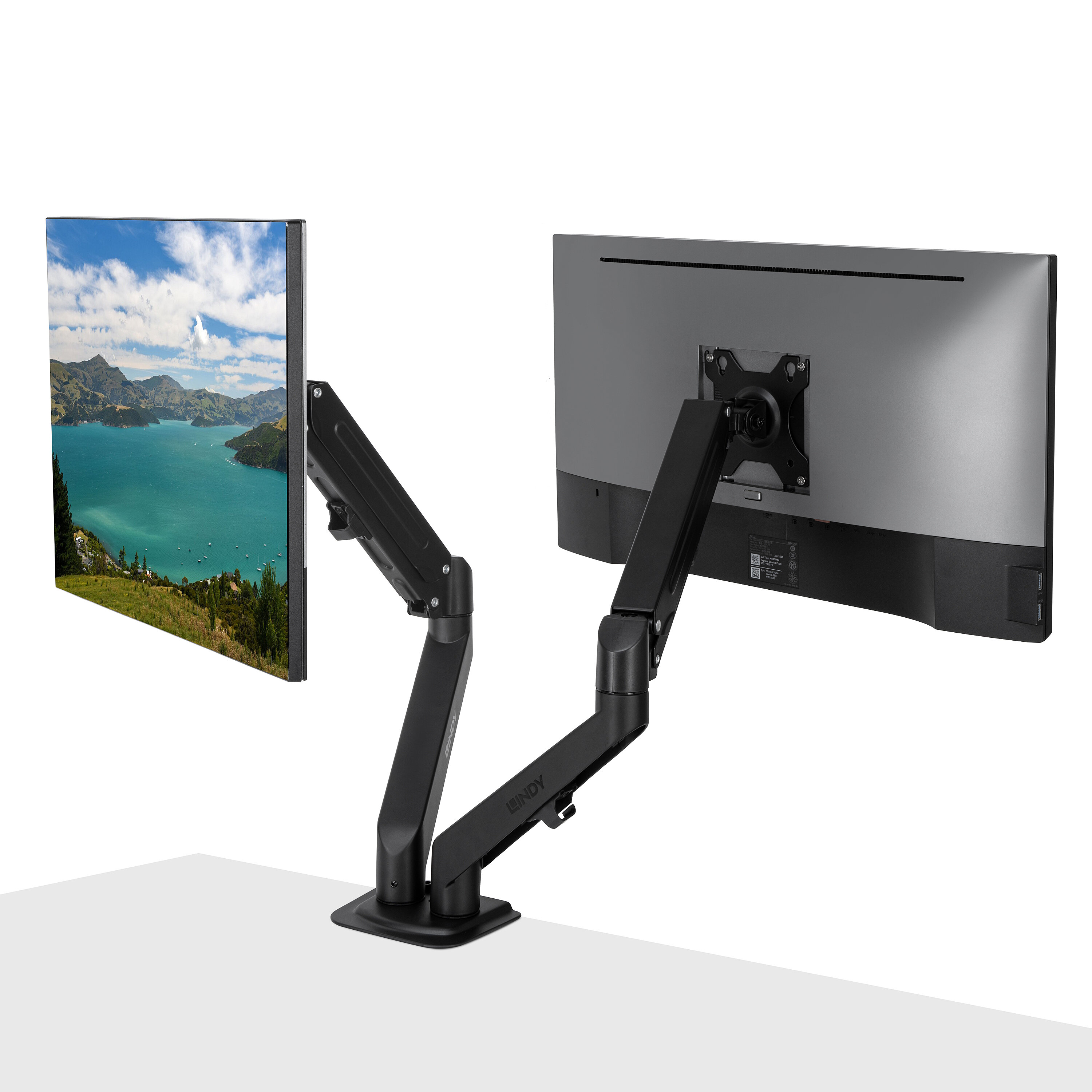 LINDY Dual Mount Desktop Gasfederarm - Schwarz Tischhalter für Monitor