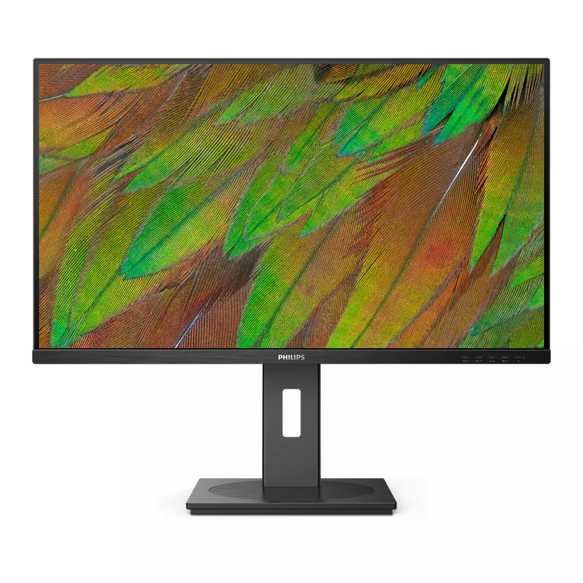 Philips 80,0cm (31,5") 32B1N3800 16:09 HDMI+DP+USB black