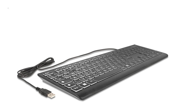 DELOCK USB Tastatur kabelgebunden 1,5 m schwarz mit XXL Bstb