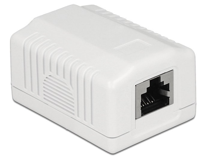 DELOCK Anschlussdose 1Port Cat.6A LSA DELOCK Anschlussdose 1Port Cat.6A LSA