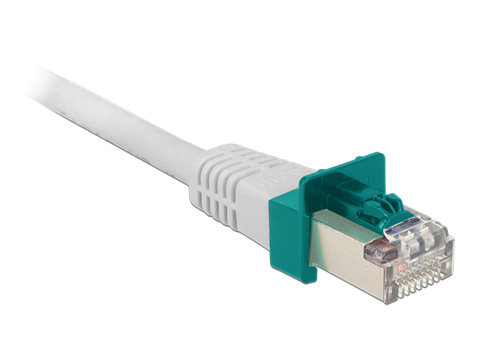 DELOCK RJ45 Secure Clip Set 40 Stück DELOCK RJ45 Secure Clip Set 40 Stück