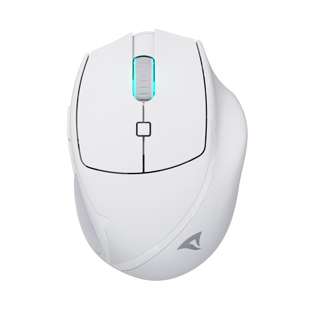 Sharkoon Maus OfficePal M25W Optisch 6 Tasten 4.000 DPI weiß Sharkoon Maus OfficePal M25W Optisch 6 Tasten 4.000 DPI weiß