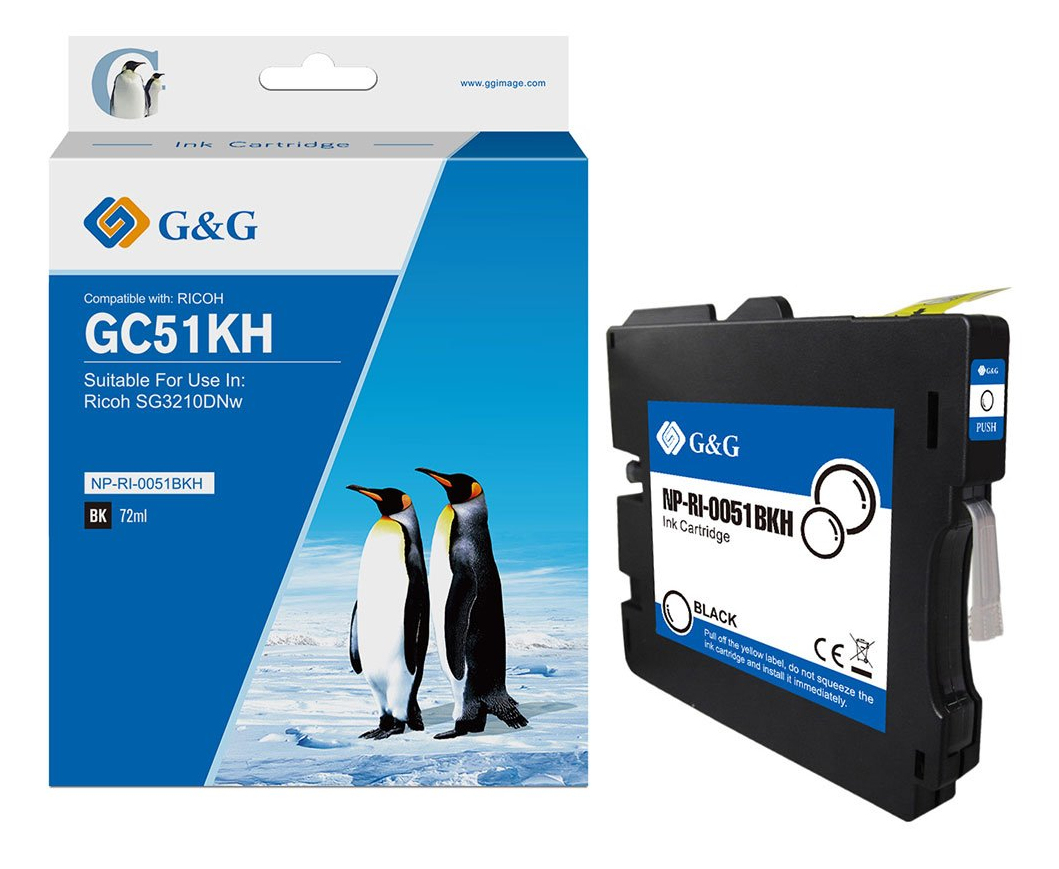 G&G Tintenpatrone kompatibel Ricoh GC51KH/&shy; 405862 Schwarz