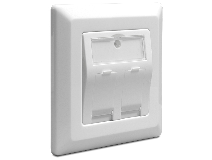 DELOCK Keystone Anschlussdose 2-Port