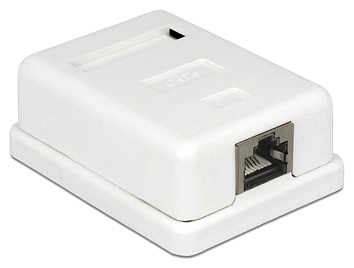 DELOCK Netzwerk Dose RJ45 Buchse Cat6 geschirmt