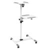 Techly Flexible Univ. Trolleys f. Notebook/Beamer,85-110cm,w