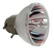 Acer UC.JS411.001 projectielamp