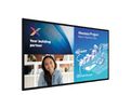 PHILIPS C-Line 86BDL6051C     18/7/UHD/350cd/Touch PCAP (Speditionsversand)