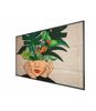 PHILIPS D-Line 55BDL4511D   139,7cm(55") 24/7/UHD (Speditionsversand)