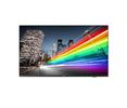 PHILIPS B-Line 55BFL2214    139,7cm(55") 16/7/UHD/TV-Modul (Speditionsversand)