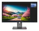 Lenovo ThinkVision P32UD-40  (31,5") UHD  HDMI/DP/USB-C/DOC