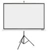 Acer Beamer  Zubehör Stativ Leinwand für T87-S01MW