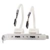 Lindy 33147 interne usb-kabel