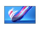 PHILIPS Q-Line 75BDL3650Q   190,5cm(75") 18/7/UHD/Android10 (Speditionsversand)
