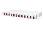 DIGITUS LWL Spleißbox 1HE bestückt 12x SC DX OM4 grau