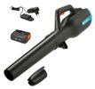 Gardena Akku-Bläser PowerJet 18V P4A Ready-To-Use Set