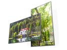DynaScan DS861LR4   218,44cm (86") High Brightness (Speditionsversand)