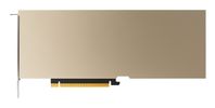 PNY NVIDIA A10 Module             24GB GDDR6