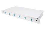 DIGITUS LWL Spleißbox 1HE bestückt  6x LC DX OM3 grau