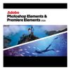 ADOBE ESD Photoshop & Premiere Elements 2026 3J Subs COM