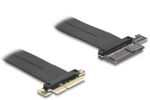 DELOCK Riser Karte PCI Express 3.0x4Stecker zu U.2 SFF-8639
