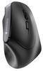 CHERRY MW4500 ERGO Wireless Maus schwarz