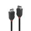 Lindy 36492 DisplayPort kabel 2 m Zwart