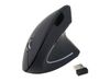 Equip Ergonomische Maus USB-A Stick          Rechts  schwarz