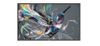 PHILIPS Q-Line 32BDL3511Q    81,3cm(32") 18/7/FHD