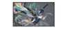 PHILIPS Q-Line 65BDL3511Q   165,1cm(65") 18/7/UHD (Speditionsversand)
