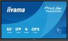 IIYAMA 163.9cm(65") TN6505A-B1AG M-Touch 2xHDMI+DP+USB-C IPS (Speditionsversand)
