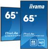 IIYAMA 164.0cm(65") LH6541UHS-B1AG 16:9 3xHDMI+USB IPS (Speditionsversand)