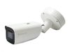 LevelOne FCS-5095 bewakingscamera Kogel (vorm) IP-beveiligingscamera Binnen & buiten 3840 x 2160 Pixels Vloer/muur