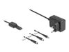 DeLOCK 41466 netvoeding & inverter Binnen 10 W Zwart