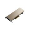 PNY NVIDIA A2 Module              16GB GDDR6