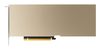 PNY NVIDIA A10 Module             24GB GDDR6
