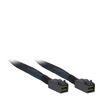 Inter-Tech 1m 2xSFF 8643 Zwart, Blauw