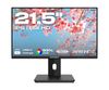 JAPANNEXT 54,6cm JN-I215FLFHSP-C65W      16:9 HDMI/USBC FHD