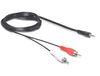 DeLOCK 84000 audio kabel 1,5 m 2 x RCA 3.5mm Zwart
